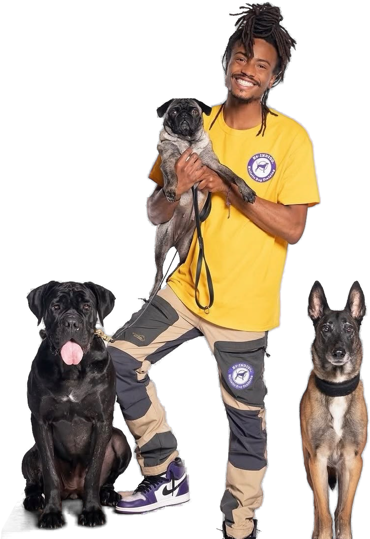 Indigo Will with three of his dogs