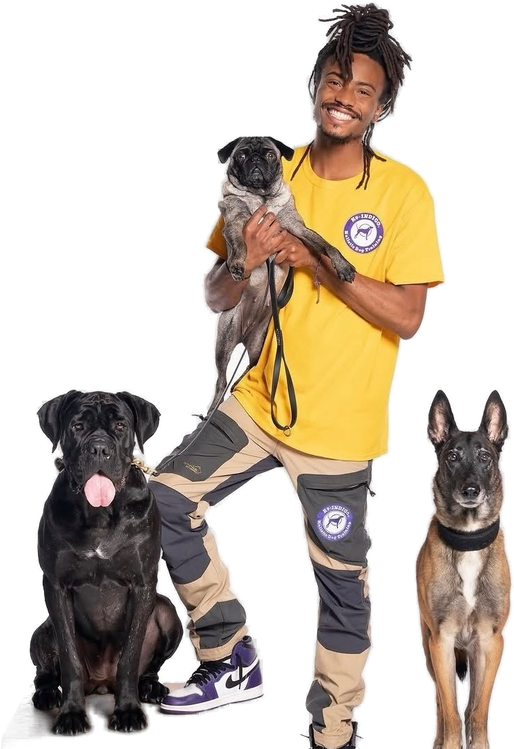 Indigo Will with three of his dogs